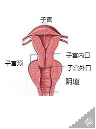 缩阴手术挽救了我的婚姻__寻医问药_xywy.com