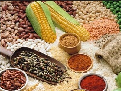 吃素食需要注意的营养搭配问题__寻医问药_xywy.com