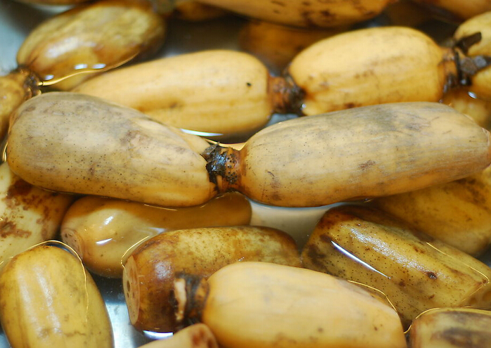 冬季去火可食用水生蔬菜__寻医问药网_xywy.c