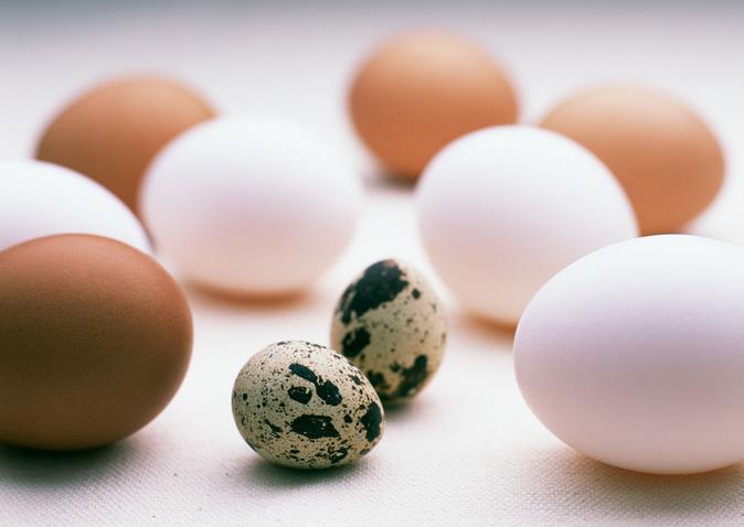 掉发严重吃什么好 8种食物防脱发__寻医问药_