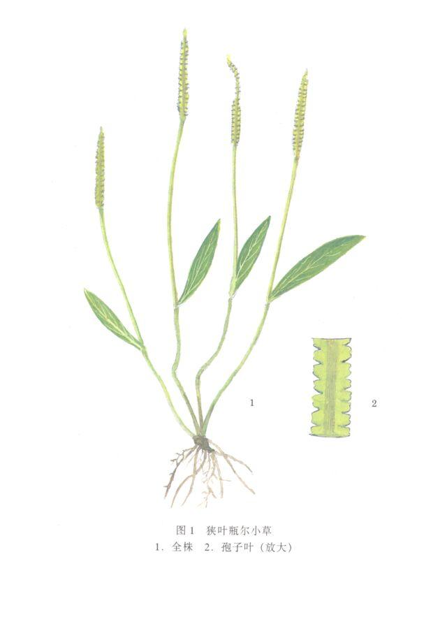 纸模型制作详细图解