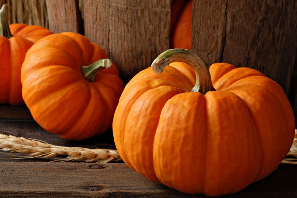 摆脱亚健康 男人就吃木耳南瓜__寻医问药_xyw