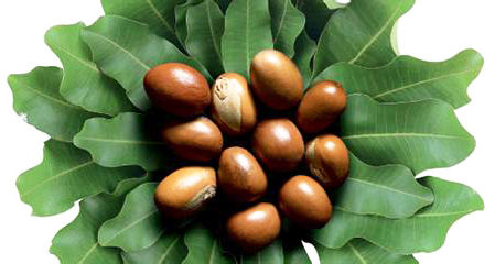 植物精油护肤__美容频道_寻医问药网_xywy.com