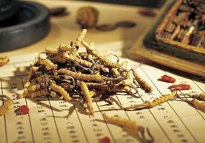 服用补肾中药的六大禁忌_寻医问药中医频道