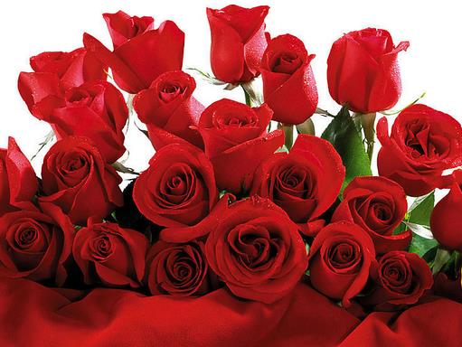 玫瑰花功效多 药食同源养生花茶__寻医问药_x