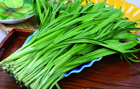 春吃韭菜补肝肾 3类人千万不能吃_寻医问药_x