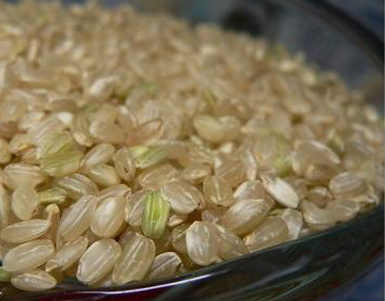 糙米对人体的功效