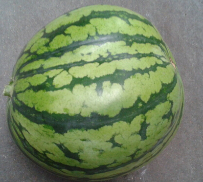 山西毒西瓜致12人中毒 一孕妇胎儿不保__寻医