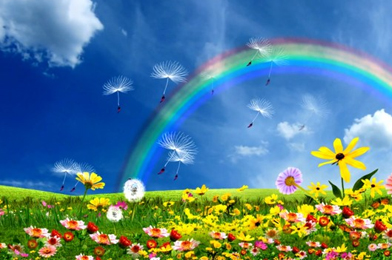 外籍游客撞死中国老人 如何为老人购买旅游意