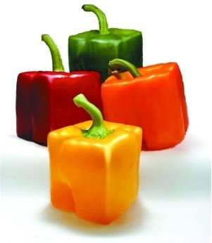 转基因食品到底安不安全?_寻医问药_xywy.com