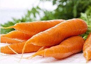 生吃胡萝卜 难吸收胡萝卜素__寻医问药网_xyw