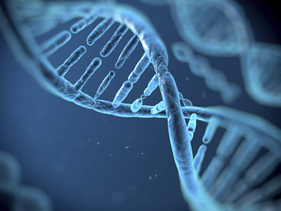 修改人类胚胎基因 或使人们更长寿__寻医问药_xywy.com