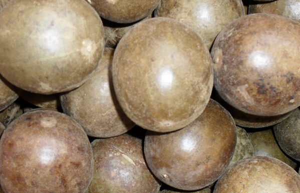 罗汉果的功效与作用及食用方法_寻医问药中医