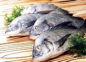 大脑罢工吃鱼 抗疲劳有5大神器_寻医问药_x