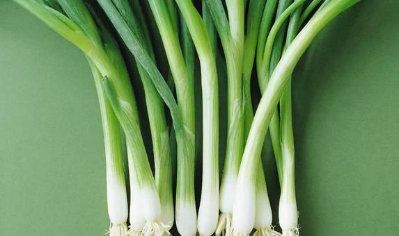 刘强东奶茶拍婚纱照 男人补肾壮阳吃什么__寻