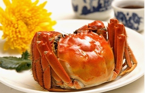 吃什么会导致流产 这6种食物千万别吃_寻医问