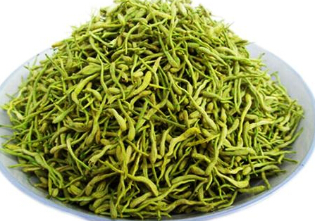 金银花的时代到来 中医带你了解金银花图片