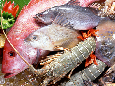 揭秘:三文鱼到底能不能生吃?__寻医问药_xyw