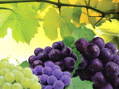 中医告诉你哪些水果可以解酒_寻医问药中医频