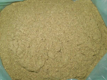 茴香粉_食谱大全_寻医问药食疗养生频道